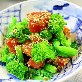 まぐろと菜花の辛子ごまだれ